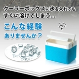 アイスペール ジャグ 保冷 | REAL STYLE | 詳細画像3 