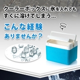 アイスペール ジャグ 保冷 | REAL STYLE | 詳細画像3 