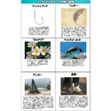 ペンダント レディース メンズ | アクセサリーショップPIENA | 詳細画像12