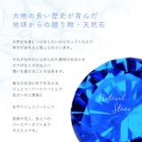 イルカ ペンダント ネックレス | アクセサリーショップPIENA | 詳細画像11