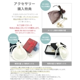 ピアス レディース キュービックジルコニア | アクセサリーショップPIENA | 詳細画像10