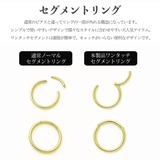 ボディピアス レディース メンズ | アクセサリーショップPIENA | 詳細画像14