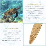 ペンダント ネックレス レディース | アクセサリーショップPIENA | 詳細画像13