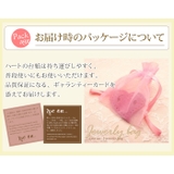 ピアス レディース シリウス | アクセサリーショップPIENA | 詳細画像9