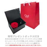 ネックレス レディース シルバー925製 | アクセサリーショップPIENA | 詳細画像6 