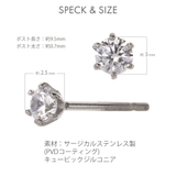 ピアス レディース サージカルステンレス製 | アクセサリーショップPIENA | 詳細画像6 