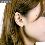 ピアス レディース K10WG製ポスト | アクセサリーショップPIENA | 詳細画像9
