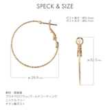 ピアス レディース チタン製ポスト | アクセサリーショップPIENA | 詳細画像7 