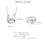 ネックレス レディース シルバー925製 | アクセサリーショップPIENA | 詳細画像7
