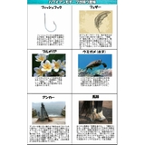 チェーン メンズ レディース | アクセサリーショップPIENA | 詳細画像14