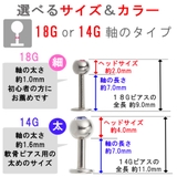 ピアス レディース メンズ | アクセサリーショップPIENA | 詳細画像8 