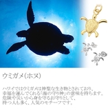 ネックレス レディース メンズ | アクセサリーショップPIENA | 詳細画像13