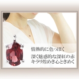 ネックレス レディース シルバー925 | アクセサリーショップPIENA | 詳細画像2