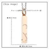 ネックレス レディース サージカルステンレス | アクセサリーショップPIENA | 詳細画像3