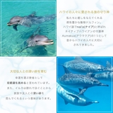 リング レディース シルバー925 | アクセサリーショップPIENA | 詳細画像13 