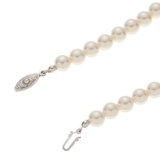 ネックレス レディース パール | アクセサリーショップPIENA | 詳細画像11 