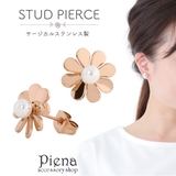 ピアス レディース サージカルステンレス製 | アクセサリーショップPIENA | 詳細画像1 
