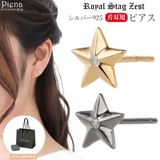 ピアス レディース メンズ | アクセサリーショップPIENA | 詳細画像1 