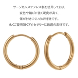 ピアス レディース メンズ | アクセサリーショップPIENA | 詳細画像3