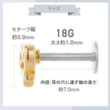 ボディピアス レディース サージカルステンレス製 | アクセサリーショップPIENA | 詳細画像9