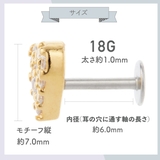 ボディピアス レディース サージカルステンレス製 | アクセサリーショップPIENA | 詳細画像9
