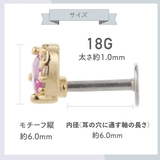 ボディピアス レディース サージカルステンレス製 | アクセサリーショップPIENA | 詳細画像9