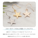 ピアス レディース サージカルステンレス製 | アクセサリーショップPIENA | 詳細画像2