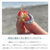ピアス レディース ハワイアンジュエリー | アクセサリーショップPIENA | 詳細画像4