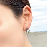 ピアス レディース サージカルステンレス製 | アクセサリーショップPIENA | 詳細画像5