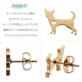 ピアス レディース サージカルステンレス製 | アクセサリーショップPIENA | 詳細画像3 