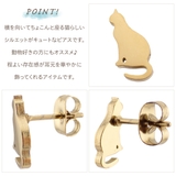 ピアス レディース サージカルステンレス製 | アクセサリーショップPIENA | 詳細画像3 