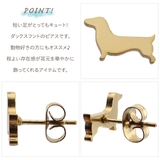 ピアス レディース サージカルステンレス製 | アクセサリーショップPIENA | 詳細画像3