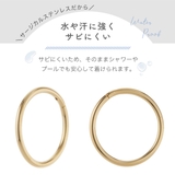 ボディピアス セグメントリング レディース | アクセサリーショップPIENA | 詳細画像12