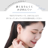 ボディピアス セグメントリング レディース | アクセサリーショップPIENA | 詳細画像7