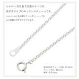 ネックレス ペンダント メンズ | アクセサリーショップPIENA | 詳細画像5