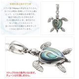 ネックレストップ ペンダントトップ レディース | アクセサリーショップPIENA | 詳細画像3 