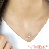 ネックレストップ ペンダントトップ トップのみ | アクセサリーショップPIENA | 詳細画像4 