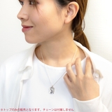 ペンダントトップ ネックレストップのみ メンズ | アクセサリーショップPIENA | 詳細画像10 