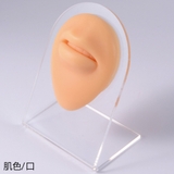 ピアス展示用 マネキン シリコンディスプレイ | アクセサリーショップPIENA | 詳細画像11 