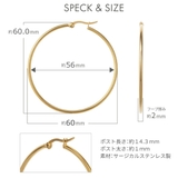 フープ ピアス サージカルステンレス | アクセサリーショップPIENA | 詳細画像9