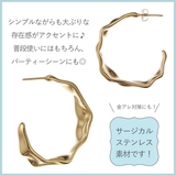 ピアス レディース サージカルステンレス | アクセサリーショップPIENA | 詳細画像7 