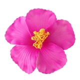 ヘアクリップ ヘアアクセサリー レディース | アクセサリーショップPIENA | 詳細画像14 