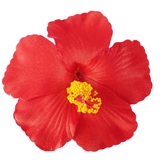 ヘアクリップ ヘアアクセサリー レディース | アクセサリーショップPIENA | 詳細画像16 