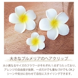 ヘアクリップ ヘアアクセサリー レディース | アクセサリーショップPIENA | 詳細画像2 