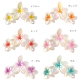 ヘアクリップ バンスクリップ ヘアアクセサリー | アクセサリーショップPIENA | 詳細画像12 