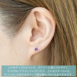 ピアス つけっぱなし チタン製 | アクセサリーショップPIENA | 詳細画像3 