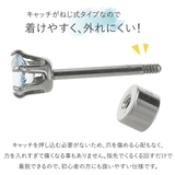 ピアス つけっぱなし チタン製 | アクセサリーショップPIENA | 詳細画像6 