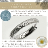 ピアス フープ レディース | アクセサリーショップPIENA | 詳細画像5