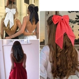 バレッタ ヘアアクセサリー レディース | PlusNao | 詳細画像2 