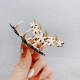 ヘアクリップ バンスクリップ 髪留め | PlusNao | 詳細画像7 